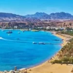 مؤشرات البورصة تبرز خسائر المقاولات والبنوك مقابل صعود قطاعات النقل والسياحة هذا الأسبوع